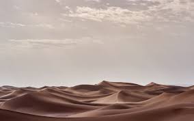 desert landscape morning 4k mac