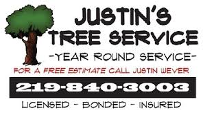 Justins Tree Service Tree Care Tree Service Porter In