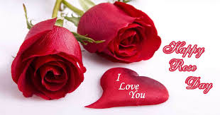 happy rose day wishes valentine i love