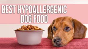 5 best hypoallergenic dog food for
