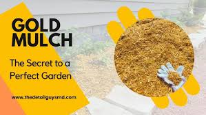 gold mulch the secret to a perfect garden