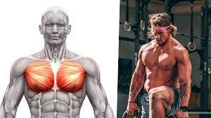 perfect chest workout for bigger pecs