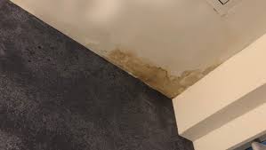 How Do I Stop My Roof From Leaking