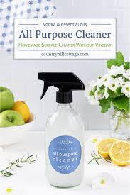 diy all purpose cleaner natural