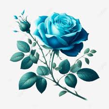 blue rose flower with leaf and branch
