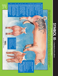 Monitoring Your Show Pigs Progress Animal Agriculture