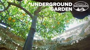 fresno s underground garden was created
