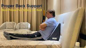 back pain pillow wedge pillow back