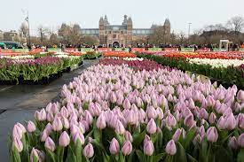 national tulip day