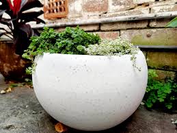 Large Indoor Outdoor Pots Sydney