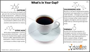 Whats Really In Your Cup Of Coffee Discover Magazine