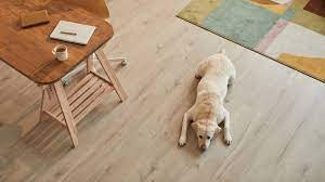 dog nails scratching wood floors