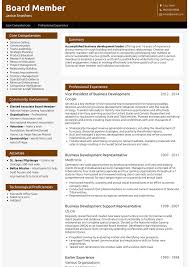 We know how writing a resume can be extremely painful. Managing Director Resume Samples And Templates Visualcv