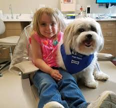 #1 best value of 7 pet friendly hotels in akron. These Children S Hospital Therapy Dogs Are Everything We Need In The World Right Now Parents