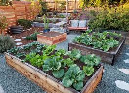 raised garden beds