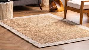 home rug cleaning professionals