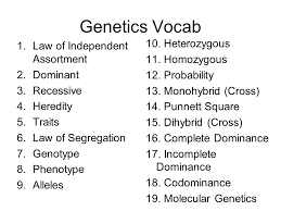 Set up the punnett square 4. 3 2 12 Do Now Copy And Answer The Questions Ppt Download