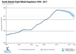 2018 Right Whale Report Card Center For Ocean Life