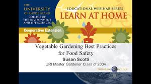 vegetable gardening best practices for