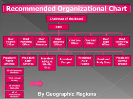 L Oreal Organizational Chart Nyu Stern Nestle