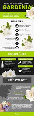 top 6 benefits of gardenia flowers