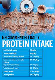 how much protein should i eat per day