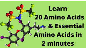 essential amino acids mnemonic