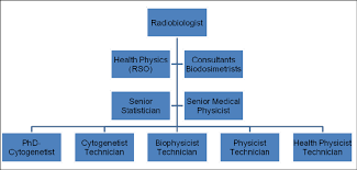 The Ideal Organization Chart For Different Specialties That