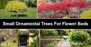 Small Ornamental Trees For Flower Beds