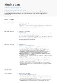 Trainee Resume Samples And Templates Visualcv