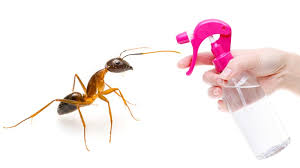 Apakah cara halau semut (komersil)? Cara Halau Semut Dengan Semburan Diy Yang Mudah Dan Selamat