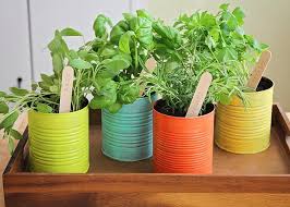 How To Make Your Own Indoor Herb Garden