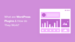 what are wordpress plugins and how do