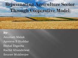 Cooperative versus contract farming presentation transcript