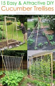 Learn how to build a stunning garden trellis! 15 Easy Diy Cucumber Trellis Ideas A Piece Of Rainbow