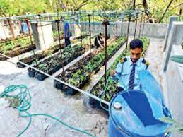 Own A Terrace Try Rooftop Farming