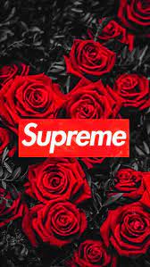 Tons of awesome supreme pc wallpapers to download for free. Rose Supreme Wallpapers Top Free Rose Supreme Backgrounds Wallpaperaccess