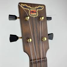 outdoor ukulele brown soprano w gigbag