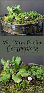 Make A Mini Moss Garden Centerpiece