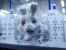 film to end cosmetic testing on s