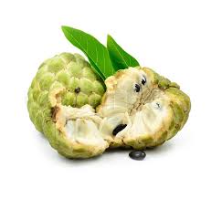 Custard apple on wn network delivers the latest videos and editable pages for news & events, including entertainment, music, sports, science and more, sign up and share your playlists. Custard Apple Sugar Apple Fruit Healthyliving From Nature Buy Online