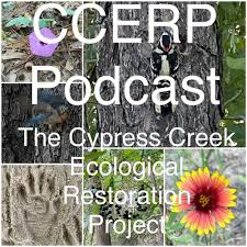 Listen To Ccerp Podcast Podcast Deezer