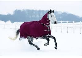 the best horse rugs for winter your