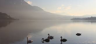 location vacances lac d aiguebelette