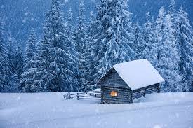 Das haus hat fünf zimmer: Foto Natur Winter Fichten Schnee Haus Jahreszeiten