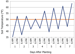 Crop Insights Soil Temperature And Corn Emergence