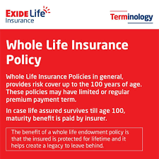 Best life insurance plans & policies in india 2021. Life Insurance Buy Life Insurance Plans Exide Life Insurance Insurance Investments Life Insurance Companies Life Insurance Policy