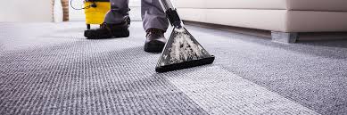 carpet area rug cleaning northport