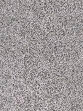 in stock carpet bardstown lexington