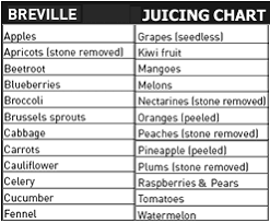 Breville Juicer Breville Juice Fountain Plus Je98xl